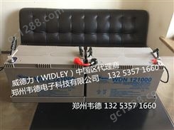 威德力WIDLEY电池 WDN12240 12V40AH UPS EPS 直流屏用