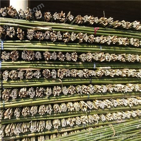 供应各种竹竿 竹片 支架蔬菜使用菜架竹 供应哈尔滨吉林
