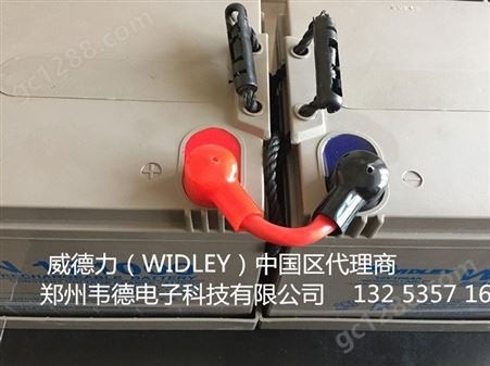 威德力 WIDLEY电池 WDN12650 12V65AH 直流屏用