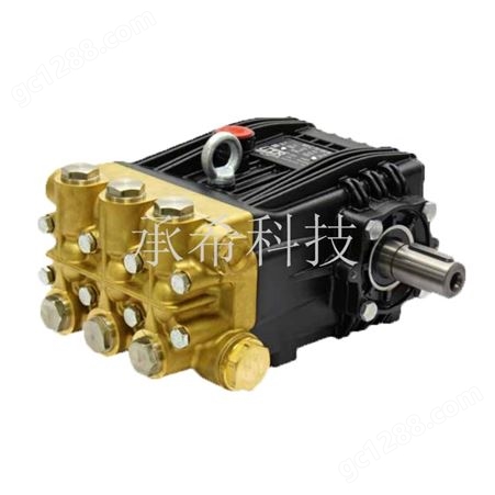 NX-C 35/300R-L意大利 高压柱塞泵 进口 UDOR 喷雾加湿 清洗泵-NX-C 35/300R-L