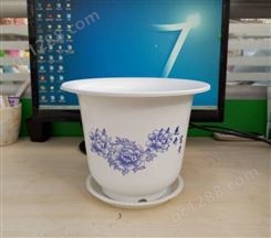 AA250型白色蓝花塑料花盆 牡丹花盆 白色塑料花盆