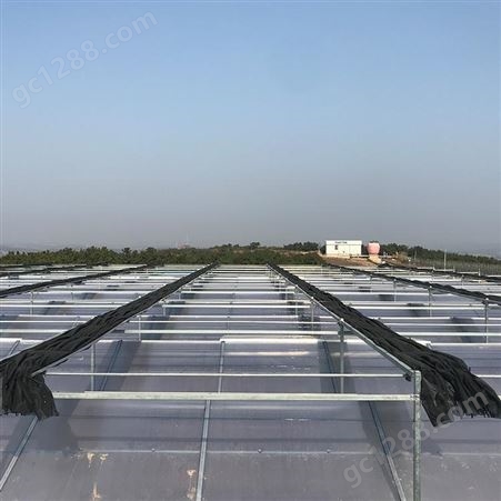 春丰温室-青州连栋玻璃温室大棚-专业团队加工定做大棚-保温节能