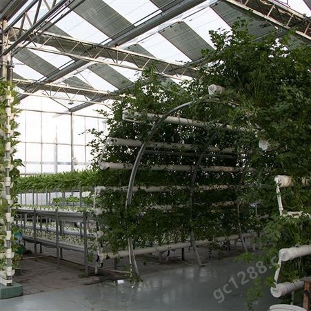 春丰温室 育苗玻璃温室大棚 玻璃温室 育苗无土栽培玻璃温室