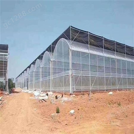春丰温室 智能玻璃温室 连栋玻璃温室大棚 玻璃温室建造商