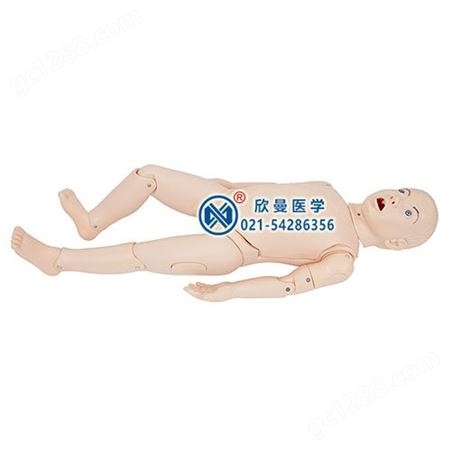 儿童胸腔穿刺训练模拟人体模型