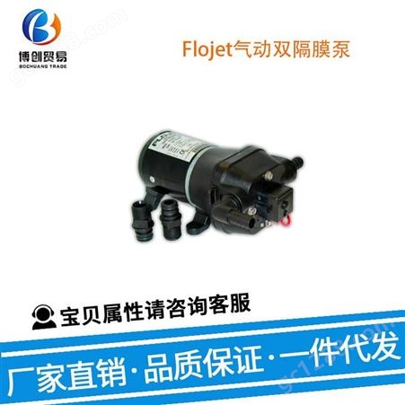 Flojet 气动双隔膜泵 往复泵 D3735E1411A 隔膜泵