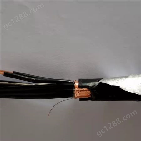 阻燃计算机电缆\ZA-KYJVRP3-32\2x2.5mm2