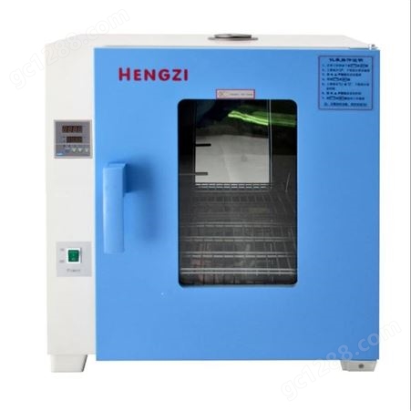 上海新诺HGZF-II-101-0 电热恒温鼓风干燥箱 烘箱 老化实验箱