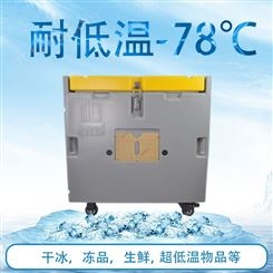 艾思珂干冰清洗机保温箱支持定制130L100公斤颗粒干冰储存周转箱