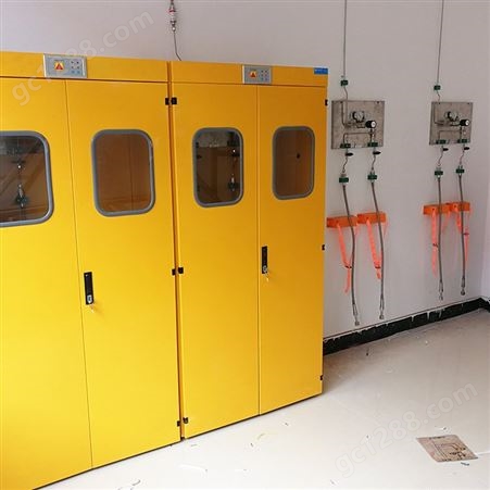 实验室设备全钢玻璃器皿柜 加厚钢板带锁危险化学品柜