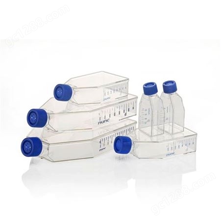 赛默飞 实验室耗材配件 孵化箱组合 细胞培养瓶EasYFlask