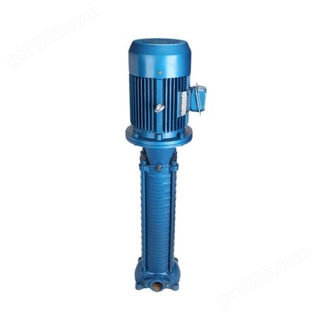 广州羊城VMP（R）型立式多级离心泵 热水管道增压离心泵