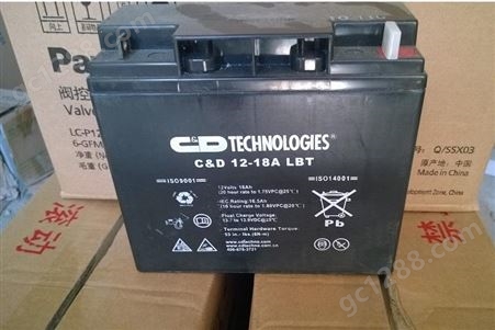 西恩迪 CND2-1000LBT 储能型胶体蓄电池 免维护EPS直流屏设备