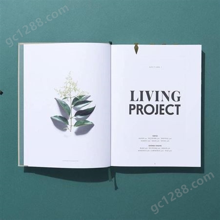 郑州设计画册 企业画册 产品画册 公司宣传册 印刷厂直印