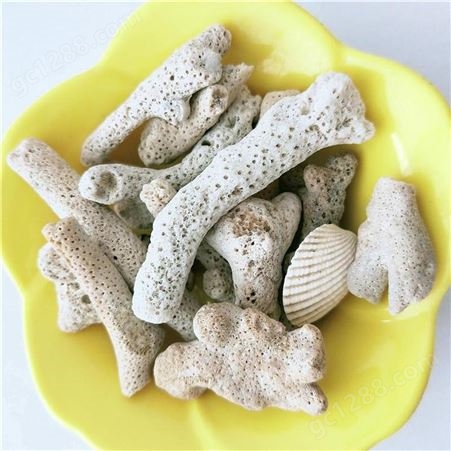 珊瑚石厂家 水族滤料珊瑚砂 水产养殖调节水质用珊瑚石 河北龙金