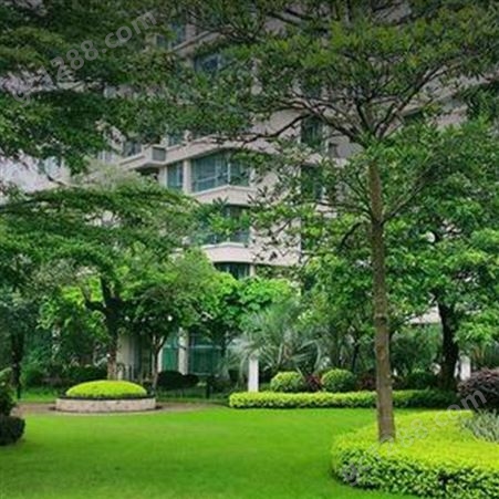 武汉庭园绿化设计 小区景观绿化 景观园林绿化工程公司 润泽蔚来 b000362