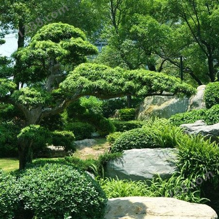 黄石园林景观设计价格 庭院景观绿化工程 园林景观绿化报价 润泽蔚来 b000226