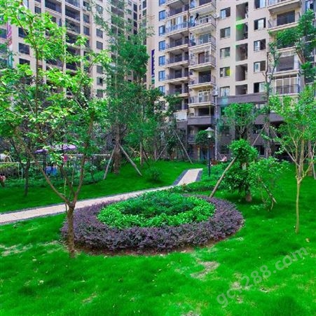 武汉边坡绿化公司 园林景观绿化 绿化工程苗木 润泽蔚来 b000370