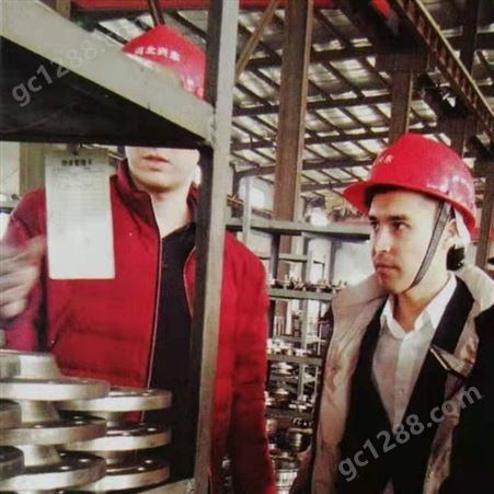 36年河北兴东 低温钢法兰 锻造工艺 生产厂家 现货价格