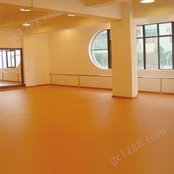 舞蹈房专用地板 瑜伽街舞弹性防滑地胶 运动塑胶儿童舞蹈地板
