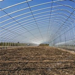 安阳大棚厂家常年搭建各种温室大棚 蔬菜大棚 养殖大棚