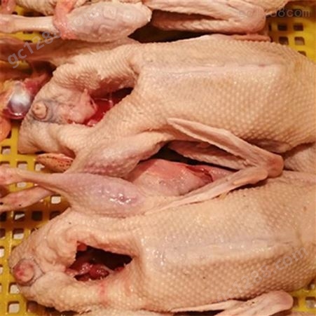 白条鸭价格_神融_冰冻新鲜鸭肉_生产销售