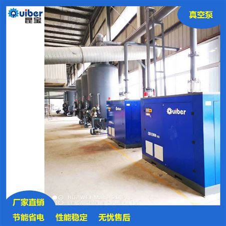 螺杆真空泵低温真空泵PVC行业用真空泵QBV系列真空泵昆宝