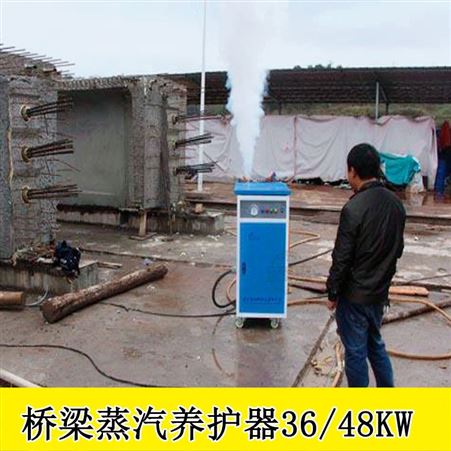 青海海南桥梁蒸汽养护设备80公斤燃油款桥梁养护器